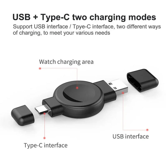 2 in 1 MicroCharger